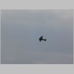 Flugtag _Lehrte_2010_140.jpg